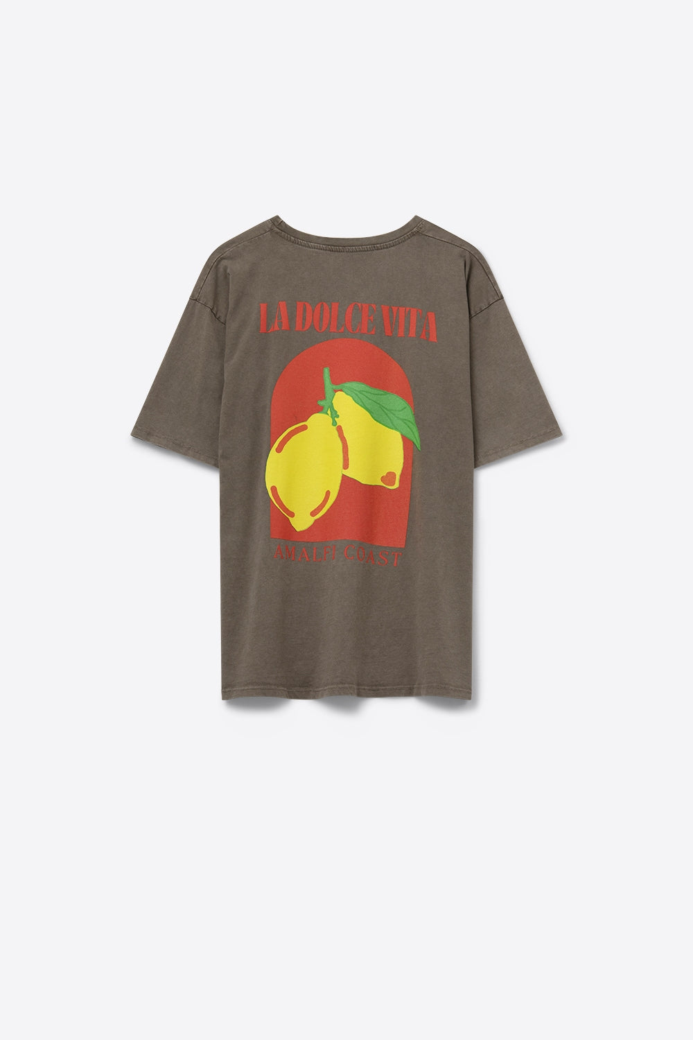 Relaxed Fit T-Shirt With La Dolce Vita Print in light Brown