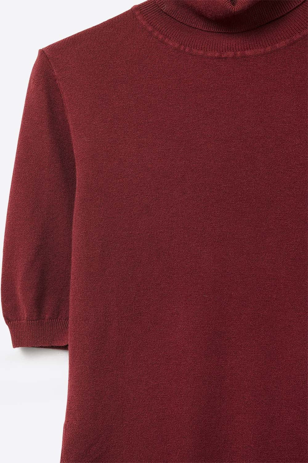 Burgundy Fine Knit Turtleneck Short Sleeve Sweater