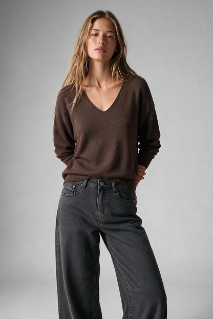 Brown Glitter Soft Knit V Neck Ribbed Trim Sweater with sequins embellished