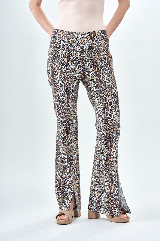 White Jaguar