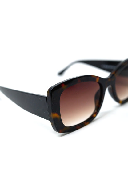 Brown Oversized Oval Sunglasses in Acetate