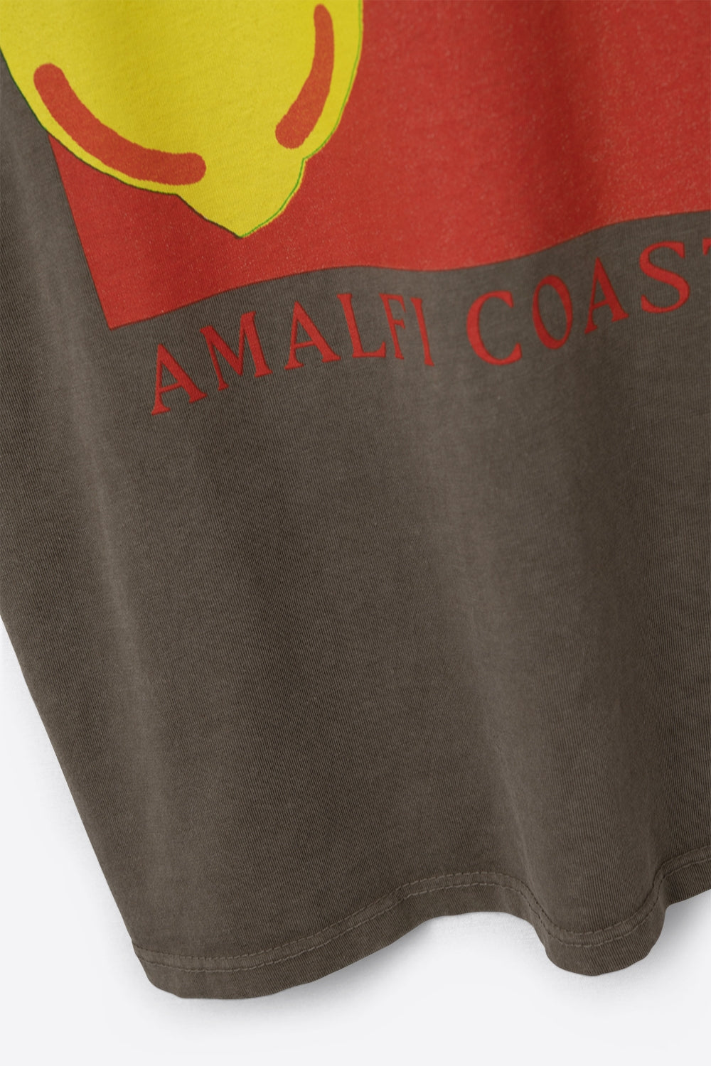 Relaxed Fit T-Shirt With La Dolce Vita Print in light Brown