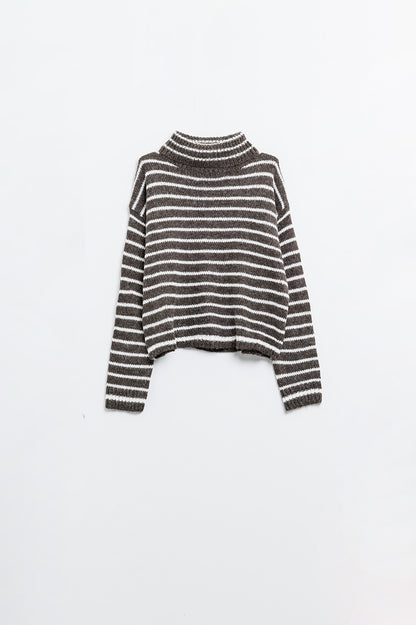 soft knit striped turtleneck sweater in brown